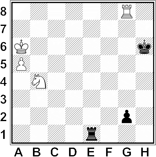 Białe: Ka6, Wg8, Sb4, a5
          Czarne: Kh6, We1, 2