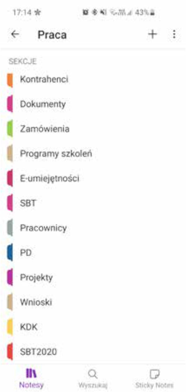 Zrzut ekranu z oknem programu