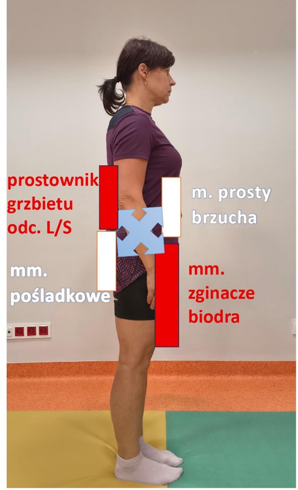 kobieta w trakcie ćwiczeń