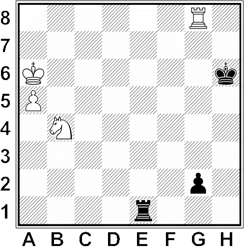 Białe: Ka6, Wg8, Sb4, a5 Czarne: Kh6, We1, 2