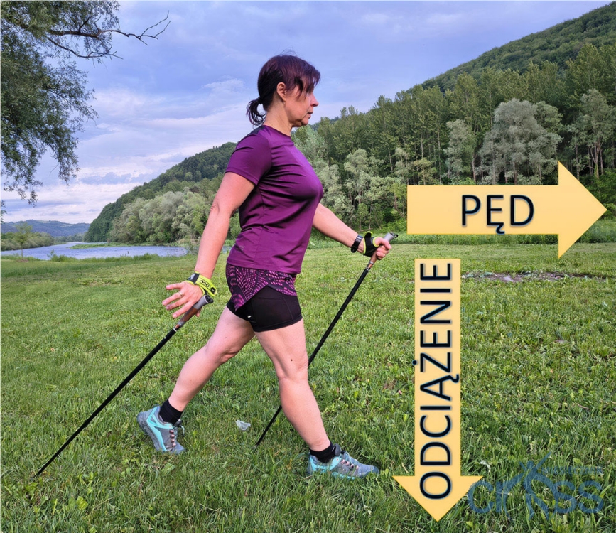 Zdjęcie przedstawia kobietę z kijami do nordic walking, uchwyconą z profilu (od stóp do głów), która porusza się w prawą stronę kadru. Sylwetka znajduje się w dynamicznym momencie pełnego kroku.