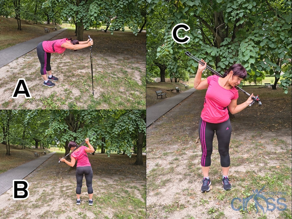 Fot. 2 to kolaż trzech zdjęć przedstawiających kobietę ćwiczącą w parku z kijami do Nordic Walking. Ćwiczenia odbywają się na trawiastym podłożu w otoczeniu drzew. Zdjęcie A (lewy górny róg): Kobieta przedstawiona jest z profilu. Wykonuje opad tułowia do przodu - jej plecy oraz wyprostowane ręce tworzą poziomą linię równoległą do ziemi. Nogi są wyprostowane w kolanach i rozstawione na szerokość bioder. Dłonie opiera na rękojeściach kijów umieszczonych pionowo na ziemi, daleko przed sobą, na wysokości barków. Zdjęcie B (lewy dolny róg): Kobieta ujęta jest od tyłu. Stoi prosto w lekkim rozkroku i wykonuje skłon tułowia w lewą stronę. Kije ułożone poziomo spoczywają na jej karku i barkach za głową. Kobieta trzyma je szeroko obiema rękami za końce, uginając łokcie. Zdjęcie C (prawa strona): Zdjęcie przedstawia to samo ćwiczenie co na zdjęciu B, z tą różnicą, że kobieta została skadrowana od przodu..