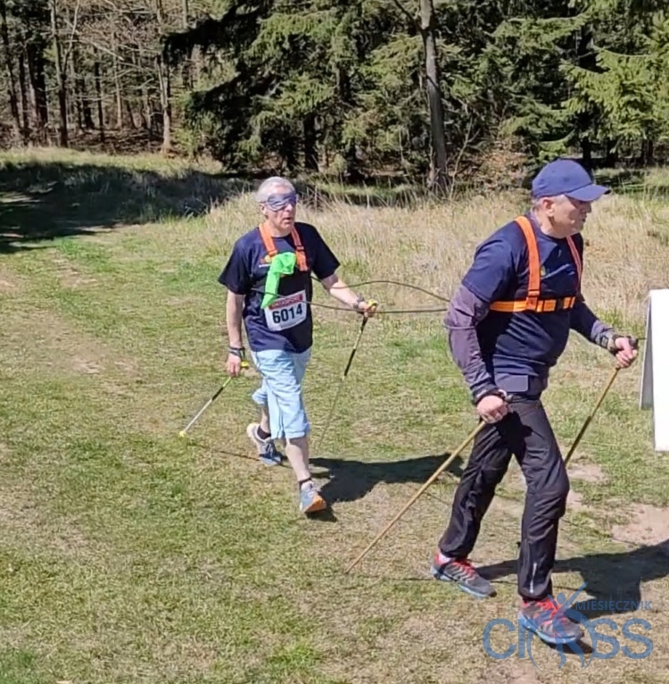 Fot. 2 to kolaż trzech zdjęć przedstawiających kobietę ćwiczącą w parku z kijami do Nordic Walking. Ćwiczenia odbywają się na trawiastym podłożu w otoczeniu drzew. Zdjęcie A (lewy górny róg): Kobieta przedstawiona jest z profilu. Wykonuje opad tułowia do przodu - jej plecy oraz wyprostowane ręce tworzą poziomą linię równoległą do ziemi. Nogi są wyprostowane w kolanach i rozstawione na szerokość bioder. Dłonie opiera na rękojeściach kijów umieszczonych pionowo na ziemi, daleko przed sobą, na wysokości barków. Zdjęcie B (lewy dolny róg): Kobieta ujęta jest od tyłu. Stoi prosto w lekkim rozkroku i wykonuje skłon tułowia w lewą stronę. Kije ułożone poziomo spoczywają na jej karku i barkach za głową. Kobieta trzyma je szeroko obiema rękami za końce, uginając łokcie. Zdjęcie C (prawa strona): Zdjęcie przedstawia to samo ćwiczenie co na zdjęciu B, z tą różnicą, że kobieta została skadrowana od przodu..Fo